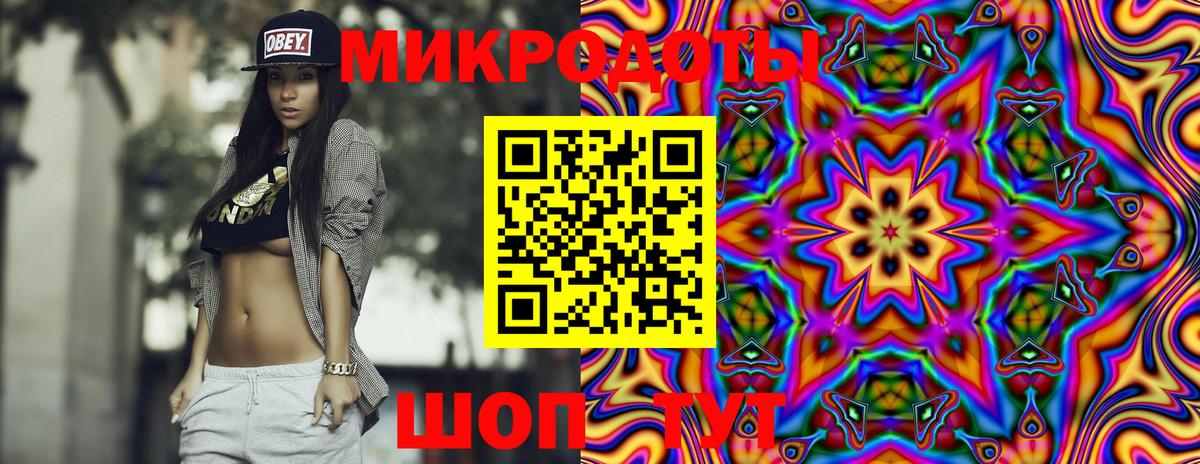 что такое   Псилоцибиновые грибы Psilocybe  Шатура  Вход с VPN  Псилоцибиновые грибы мицелий 