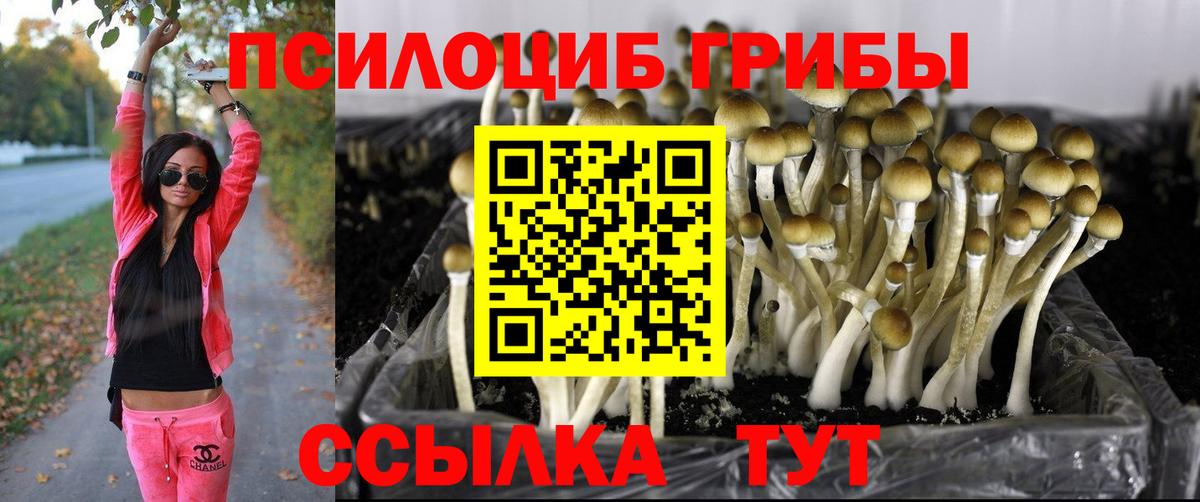 Галлюциногенные грибы мухоморы Шатура